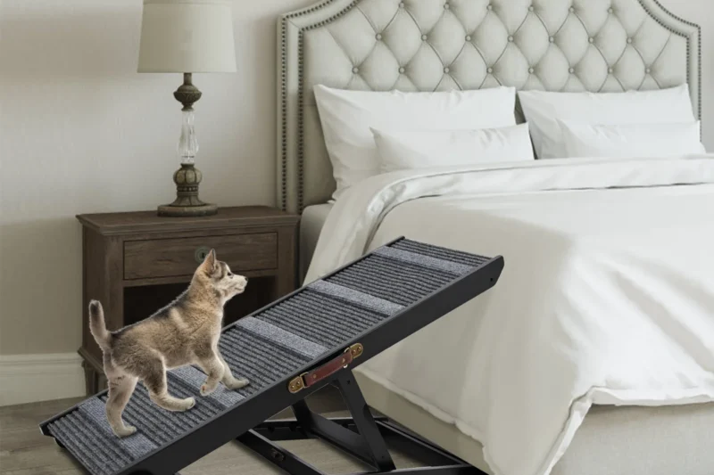 8 Best Dog Ramps for High Beds in 2026